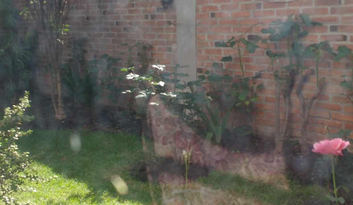 IMG_20160428_102718312