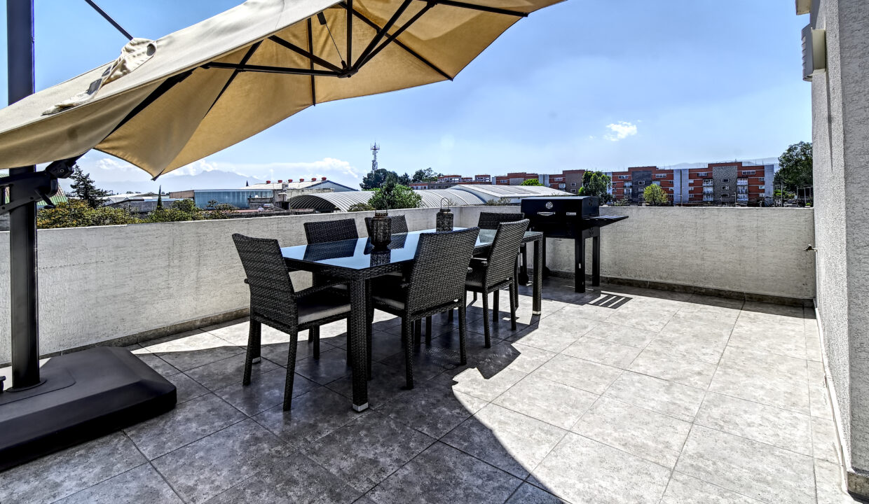 Tipo Ceiba - Roof Garden (3)