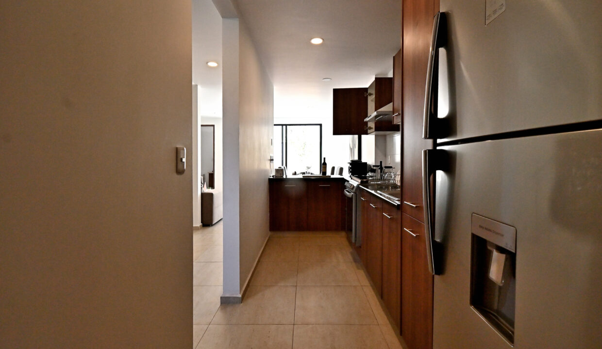 Tipo Roble - Cocina (1)
