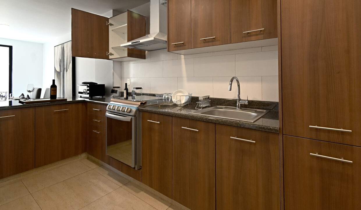 Tipo Roble - Cocina (2)