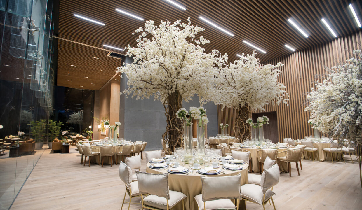salon de baile